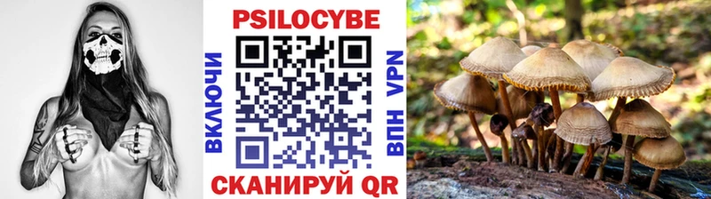 Псилоцибиновые грибы Cubensis  ссылка на мегу как зайти  Новозыбков  наркотики 